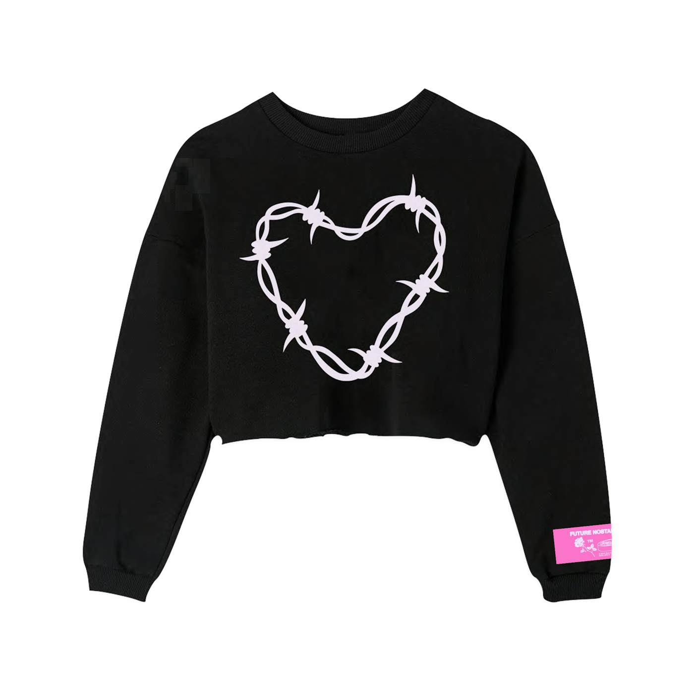 Dua Lipa Barbwire Heart Crop Sweatshirt