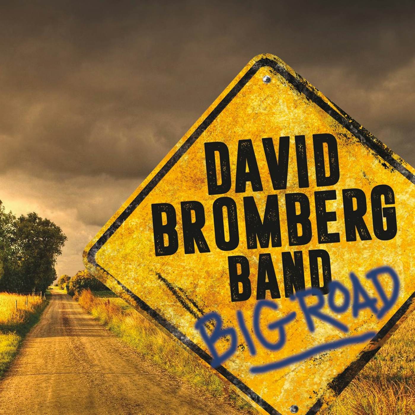 David Bromberg BIG ROAD CD