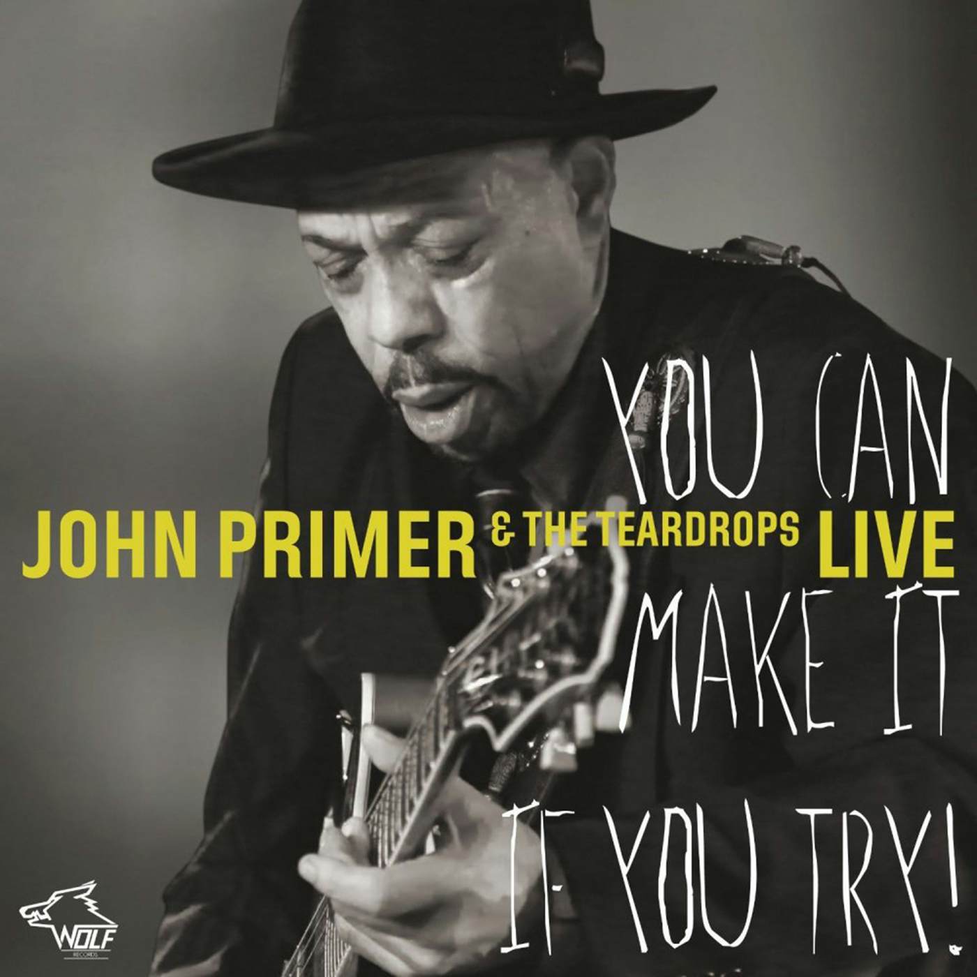John Primer You Can Make It If You Try! Vinyl Record