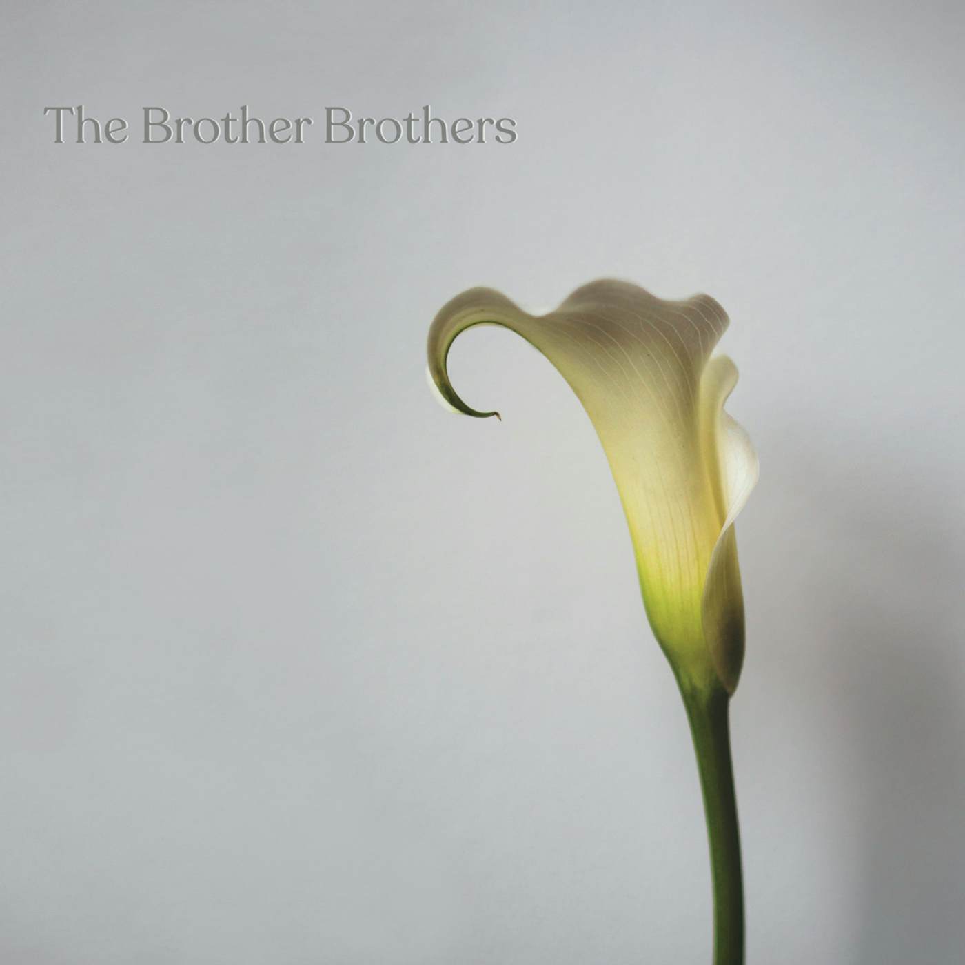 The Brother Brothers CALLA LILY CD