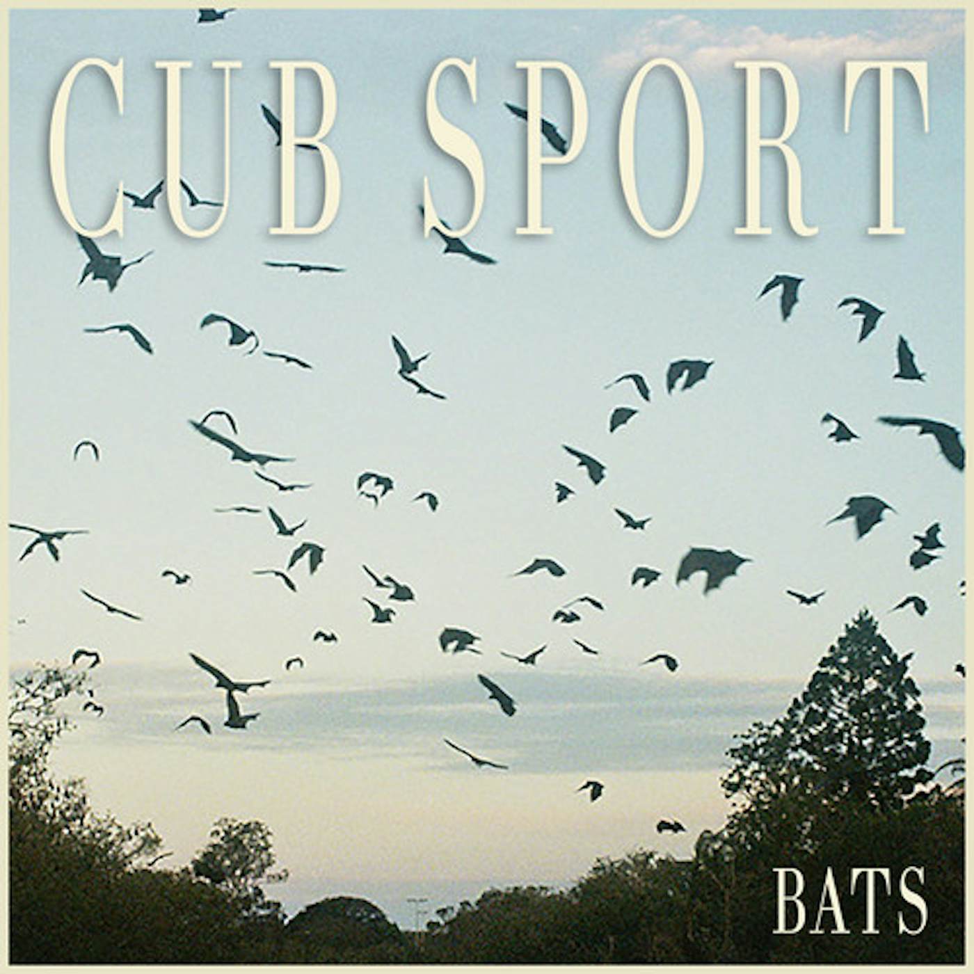 Cub Sport Bats Vinyl Record