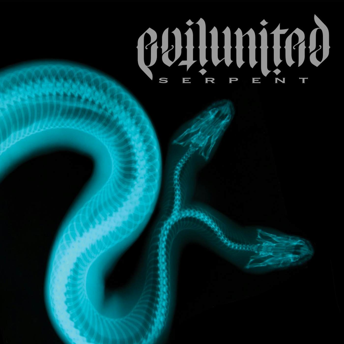 Evil United Serpent Vinyl Record