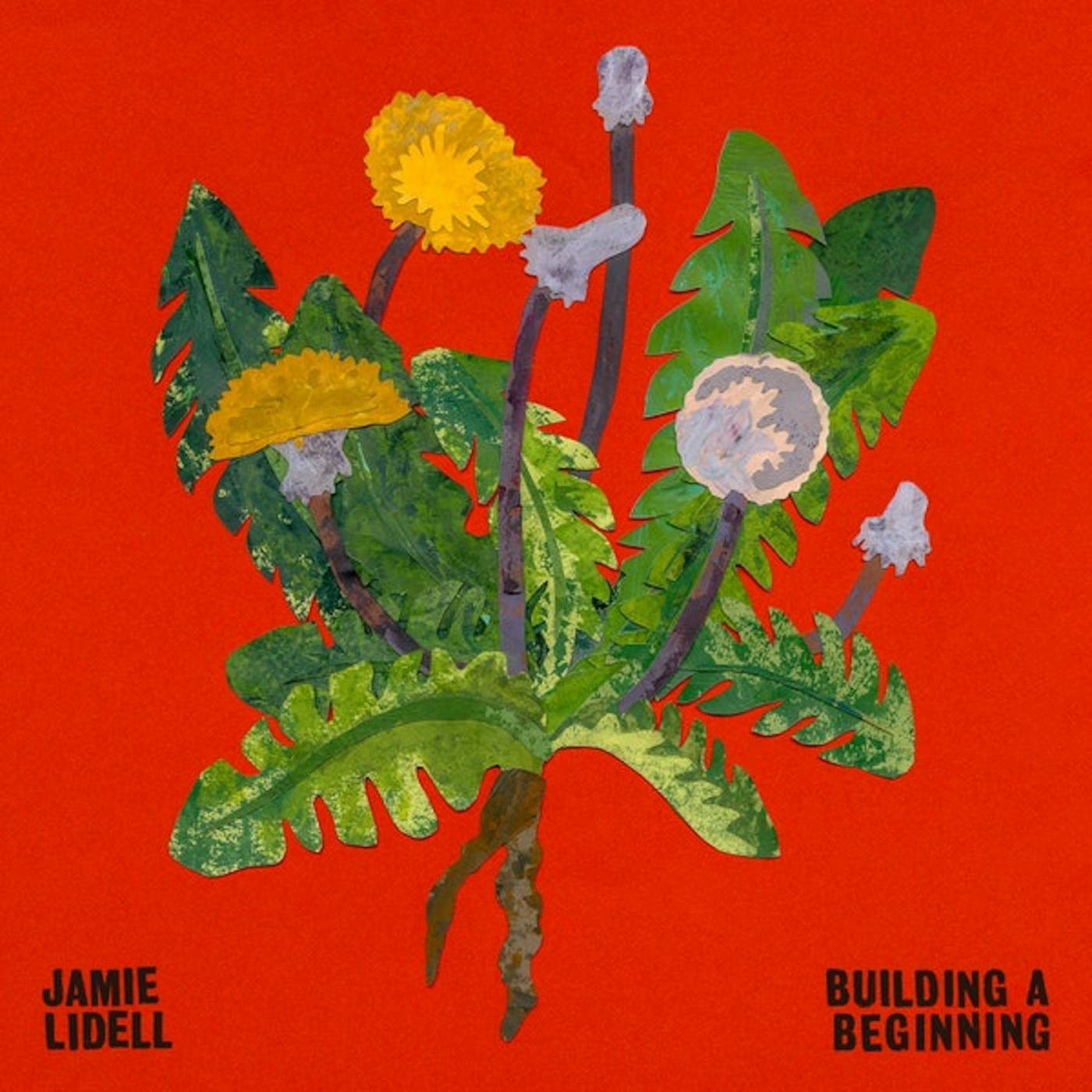Jamie Lidell Building A Beginning Vinyl Record
