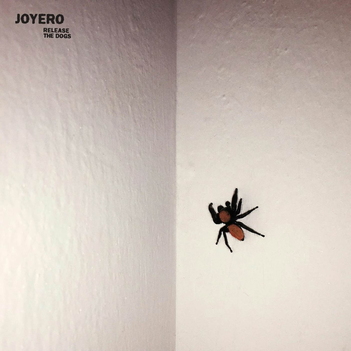 Joyero RELEASE THE DOGS (DL CODE) Vinyl Record