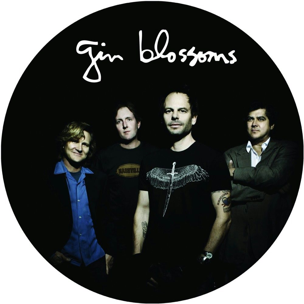 Gin Blossoms Live In Concert Picture Disc Vinyl Vinyl Record