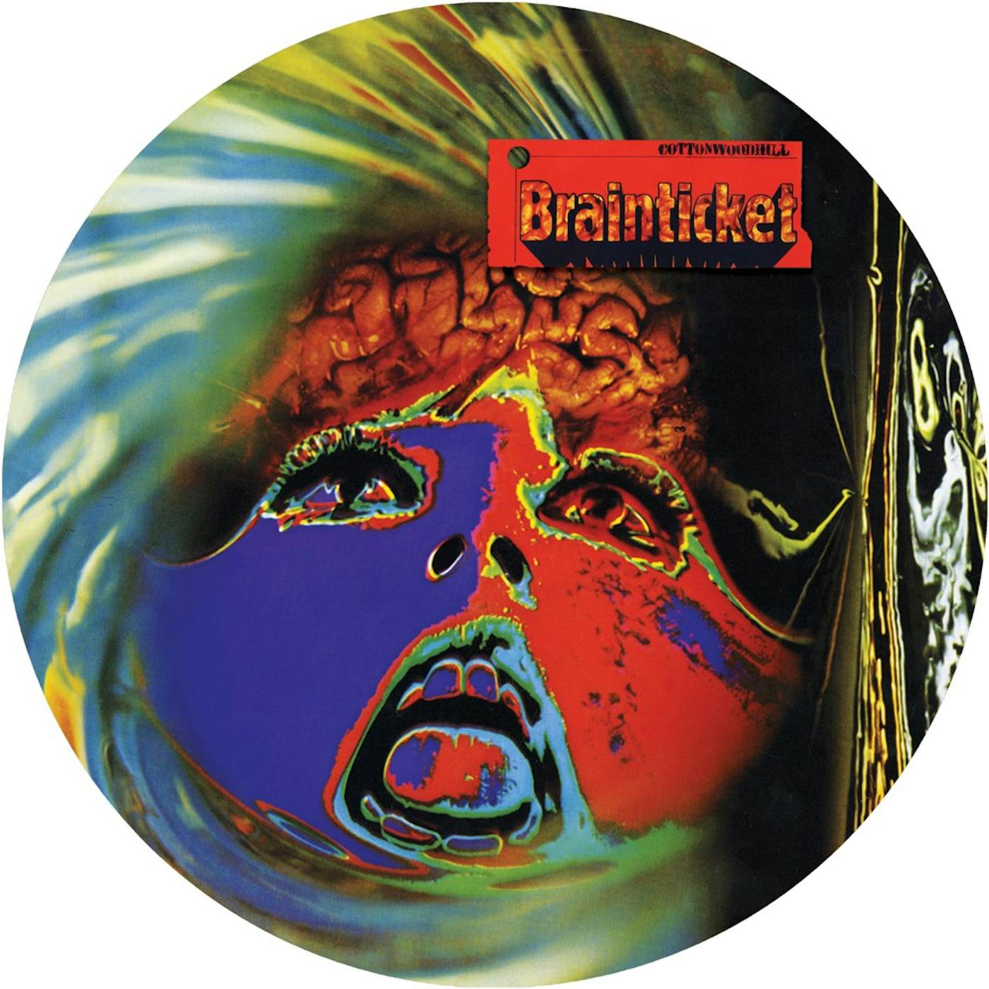 Brainticket COTTONWOODHILL (PICTURE VINYL) Vinyl Record