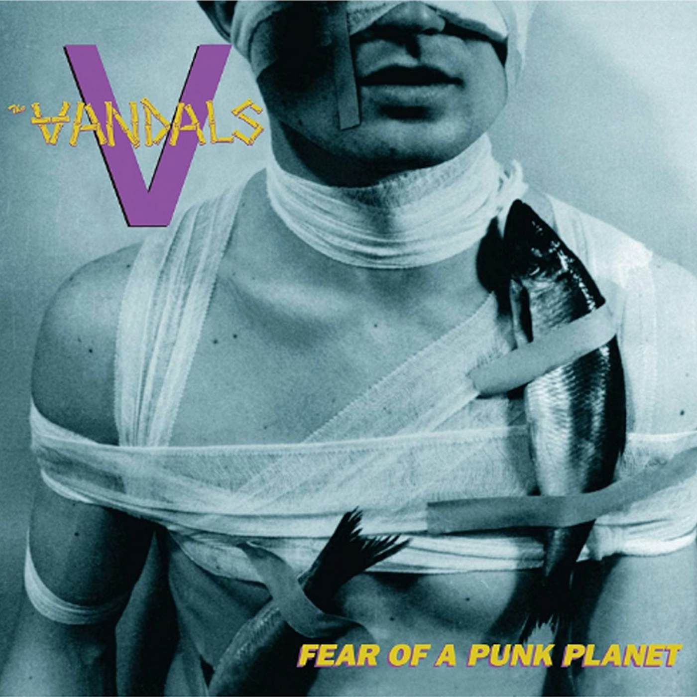 The Vandals  FEAR OF A PUNK PLANET Vinyl Record