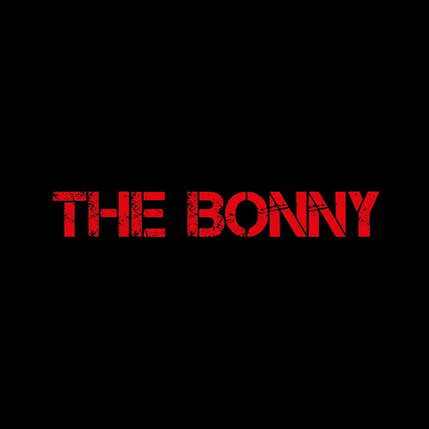 Gerry Cinnamon The Bonny Vinyl Record