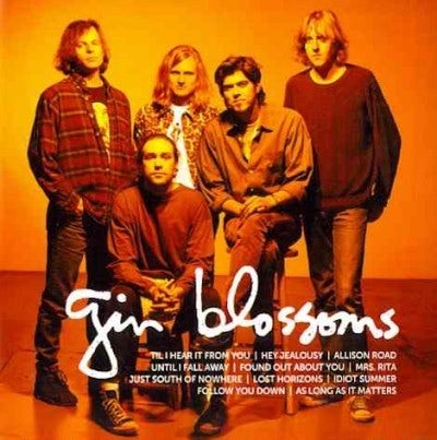 Gin Blossoms ICON CD