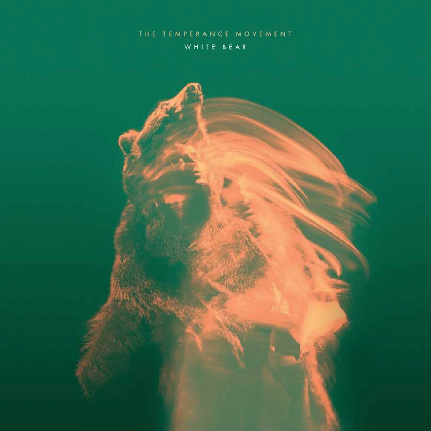 The Temperance Movement WHITE BEAR CD