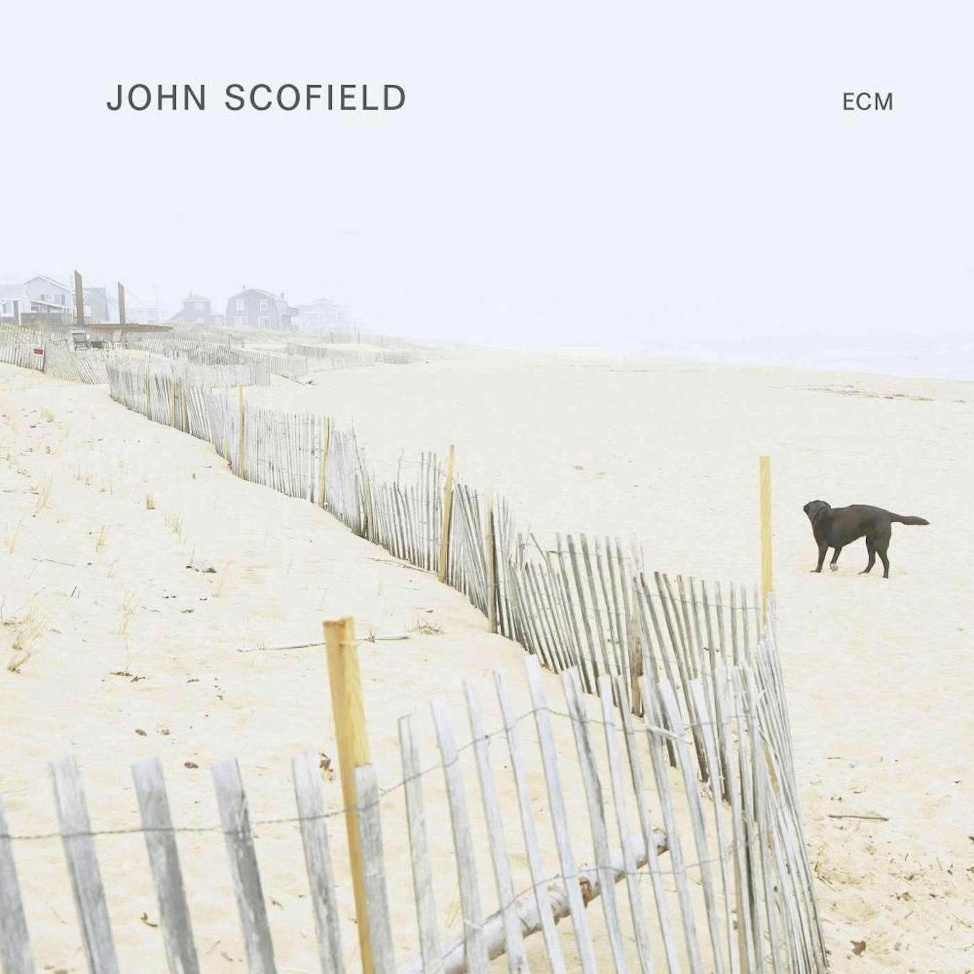 JOHN SCOFIELD CD