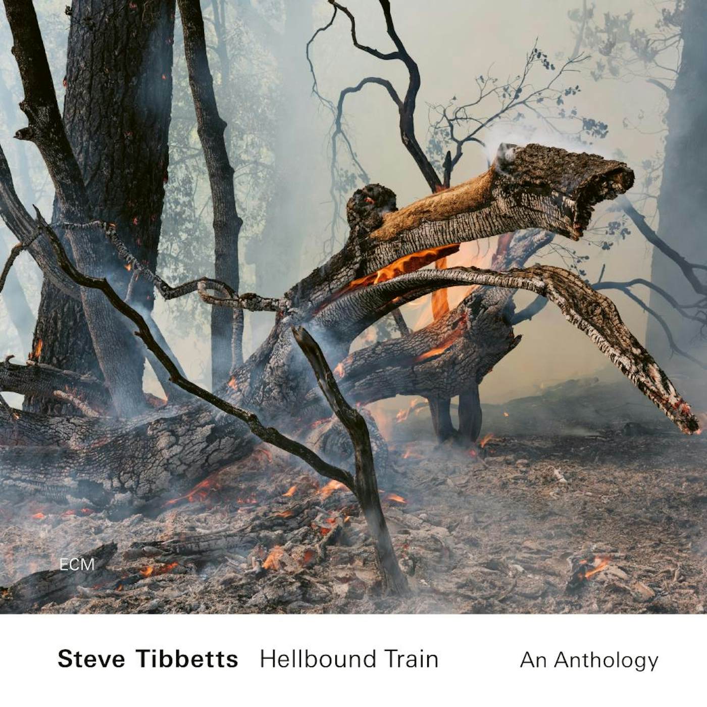 Steve Tibbetts Hellbound Train: an Anthology CD