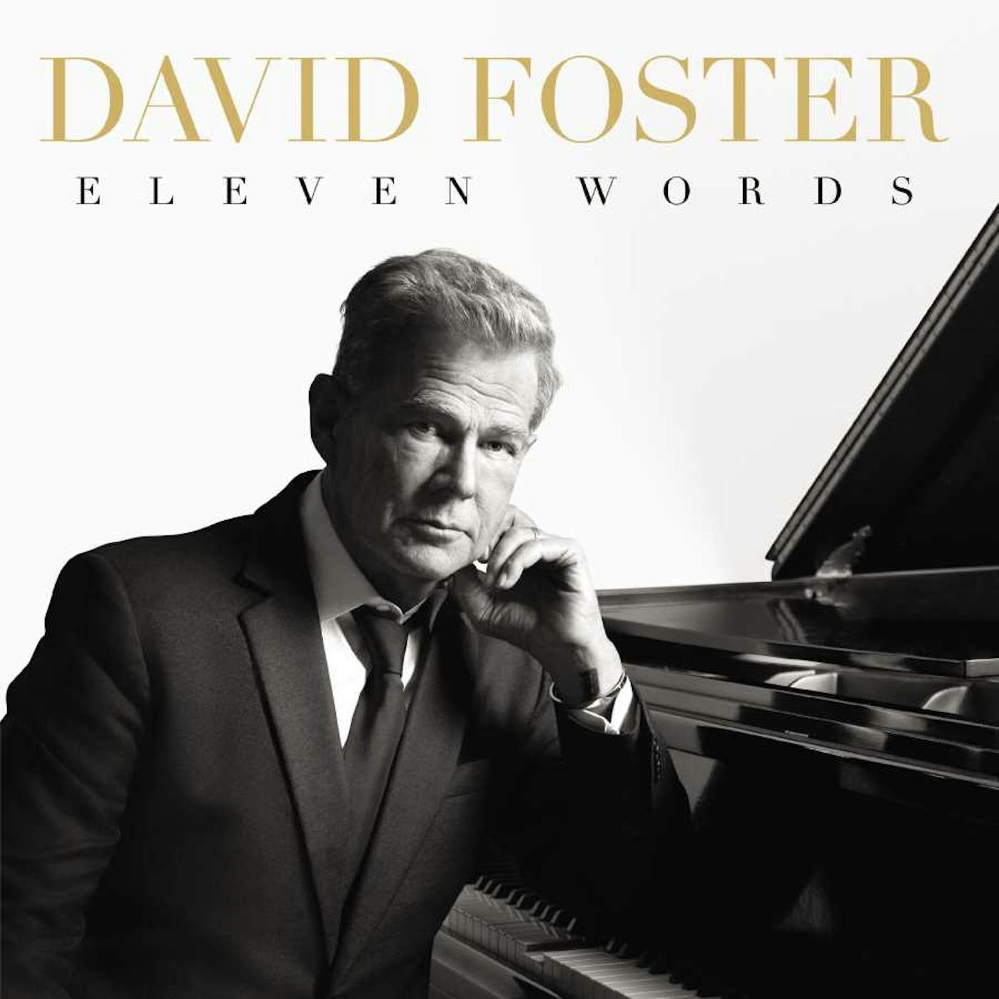 David Foster ELEVEN WORDS CD