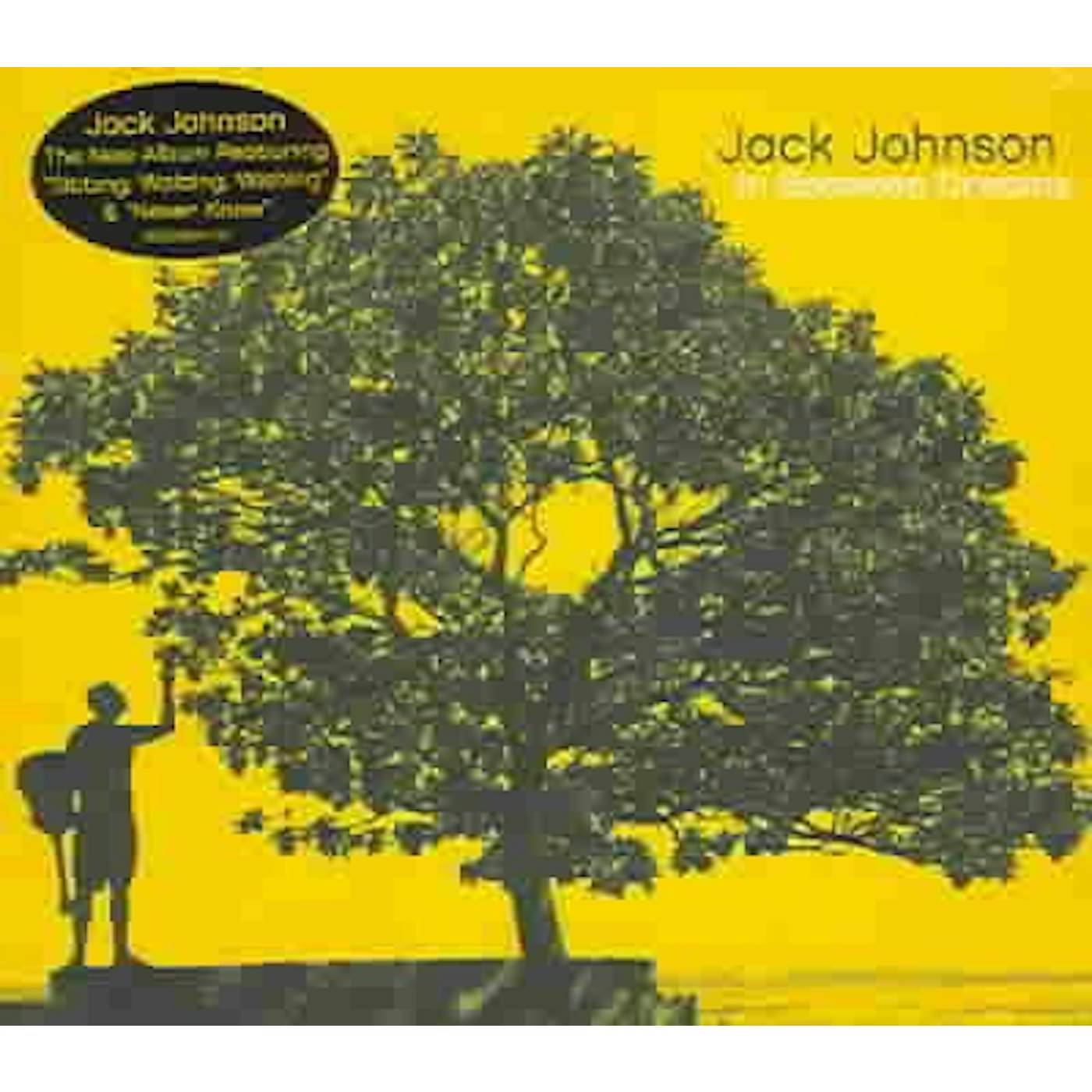 Jack Johnson IN BETWEEN DREAMS CD