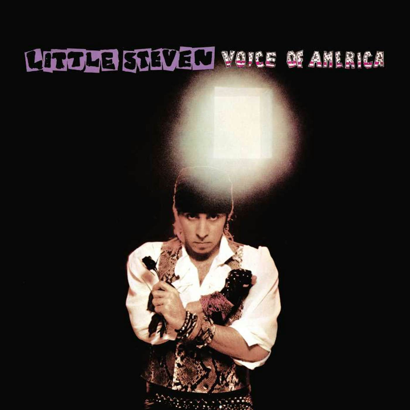 Little Steven VOICE OF AMERICA (CD/DVD) CD
