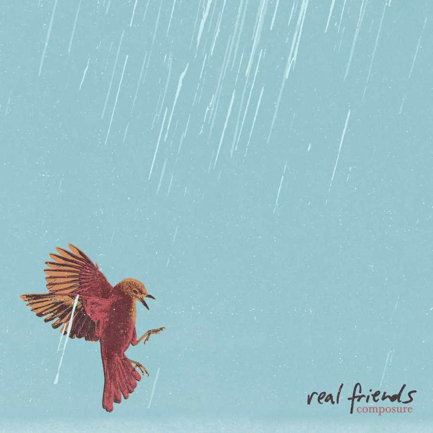 Real Friends Composure (LP) Vinyl Record
