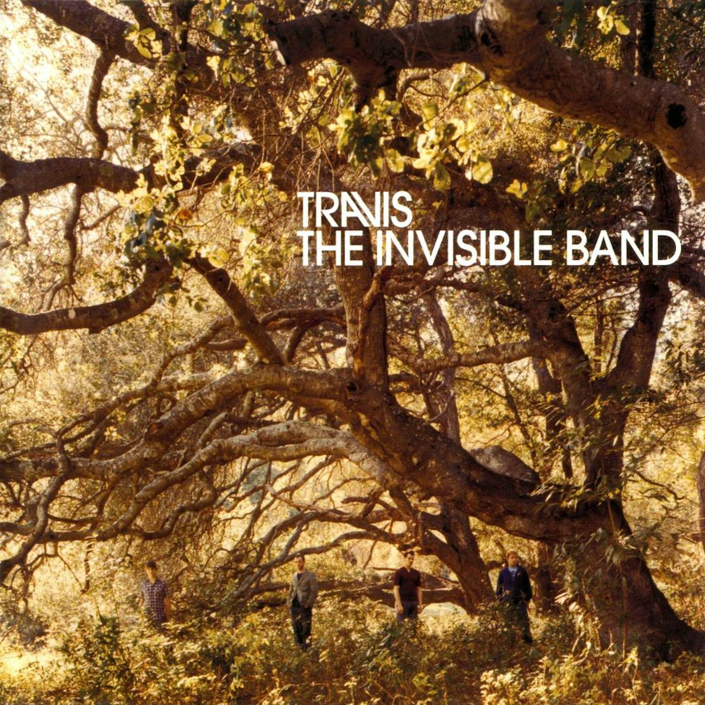 Travis INVISIBLE BAND Vinyl Record