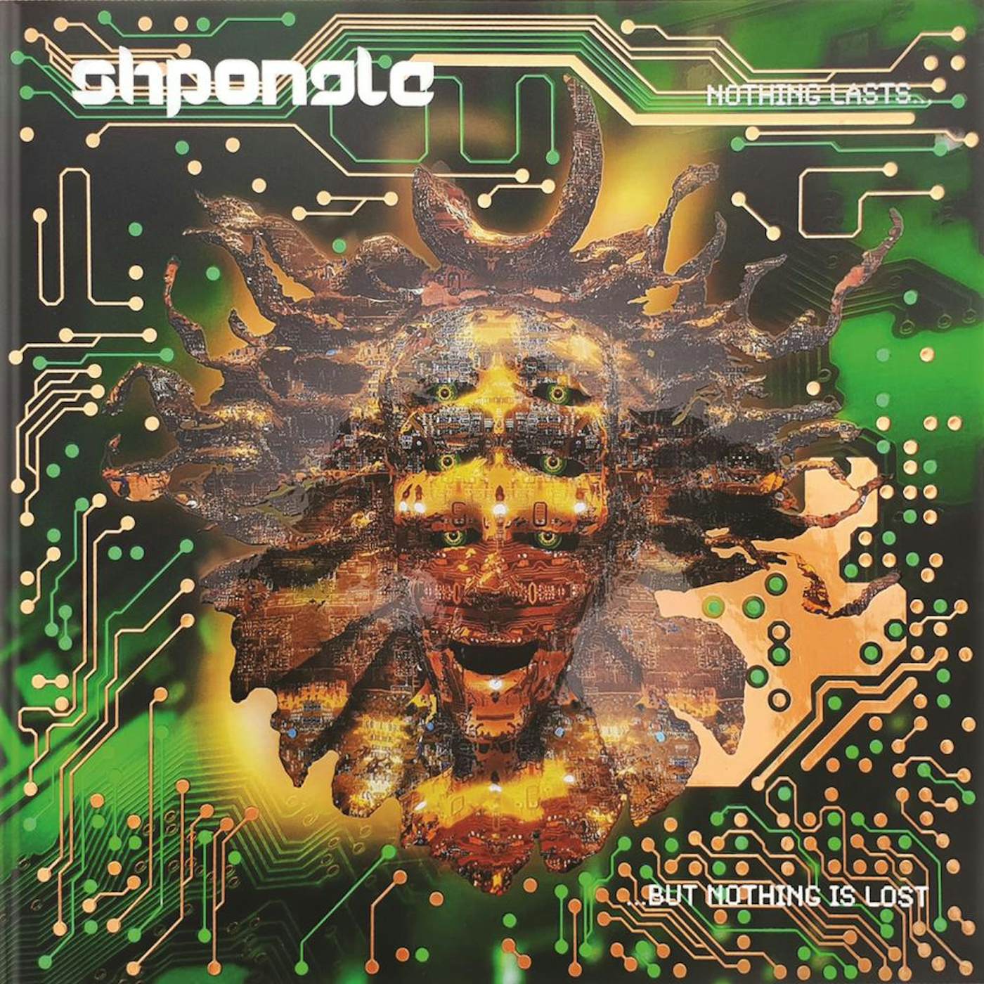 Shpongle NOTHING LASTS BUT NOTHING IS LOST Vinyl Record
