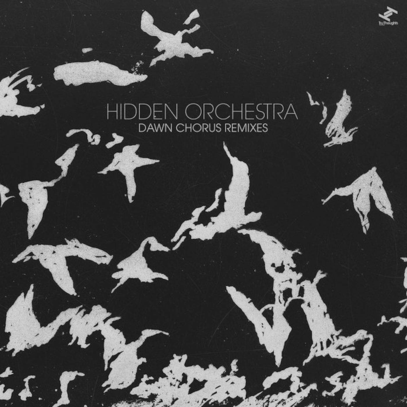 Hidden Orchestra Dawn Chorus Remixes Vinyl Record
