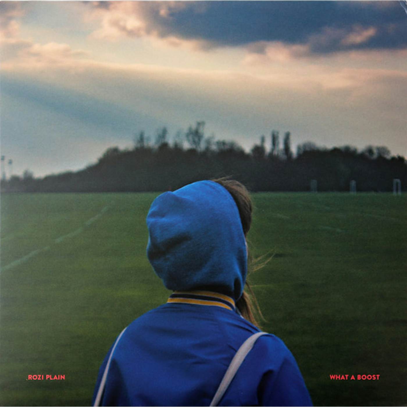 Rozi Plain What A Boost Vinyl Record