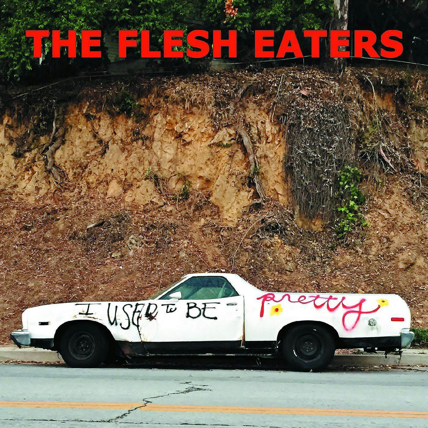 The Flesh Eaters I USED TO BE PRETTY (2LP/DL CODE) Vinyl Record