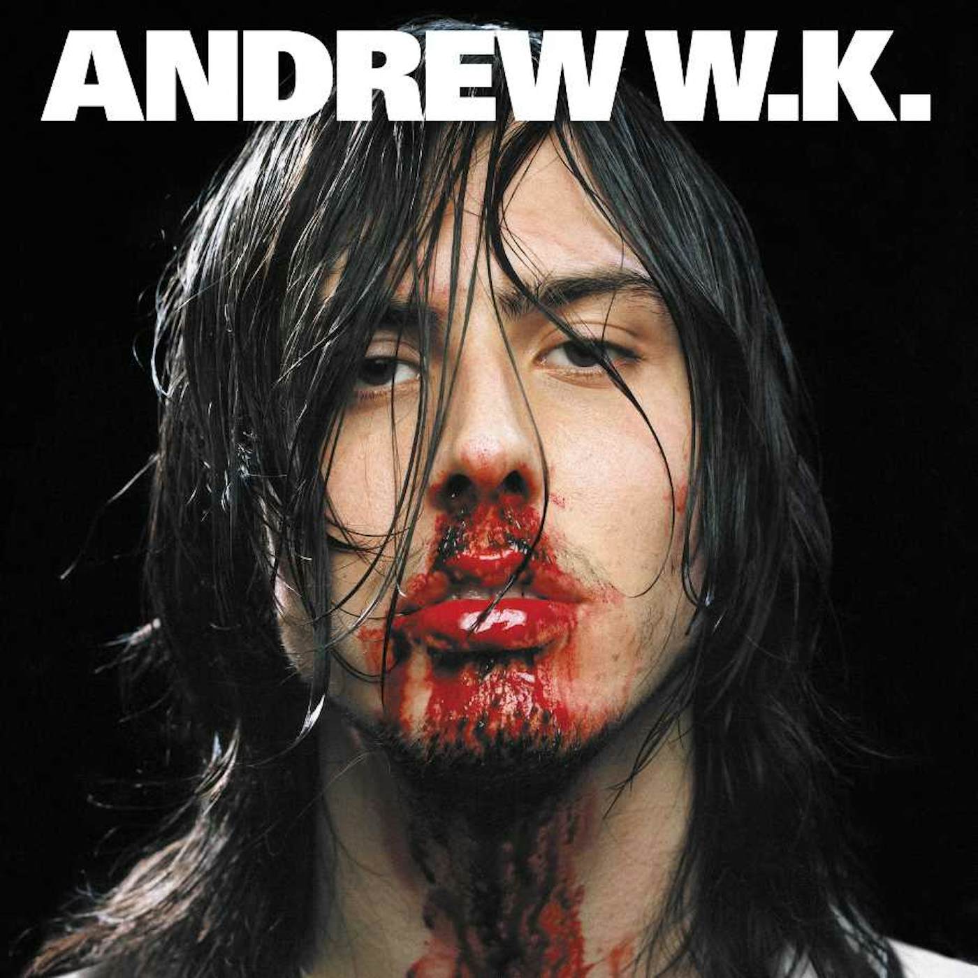 Andrew W.K. I GET WET Vinyl Record