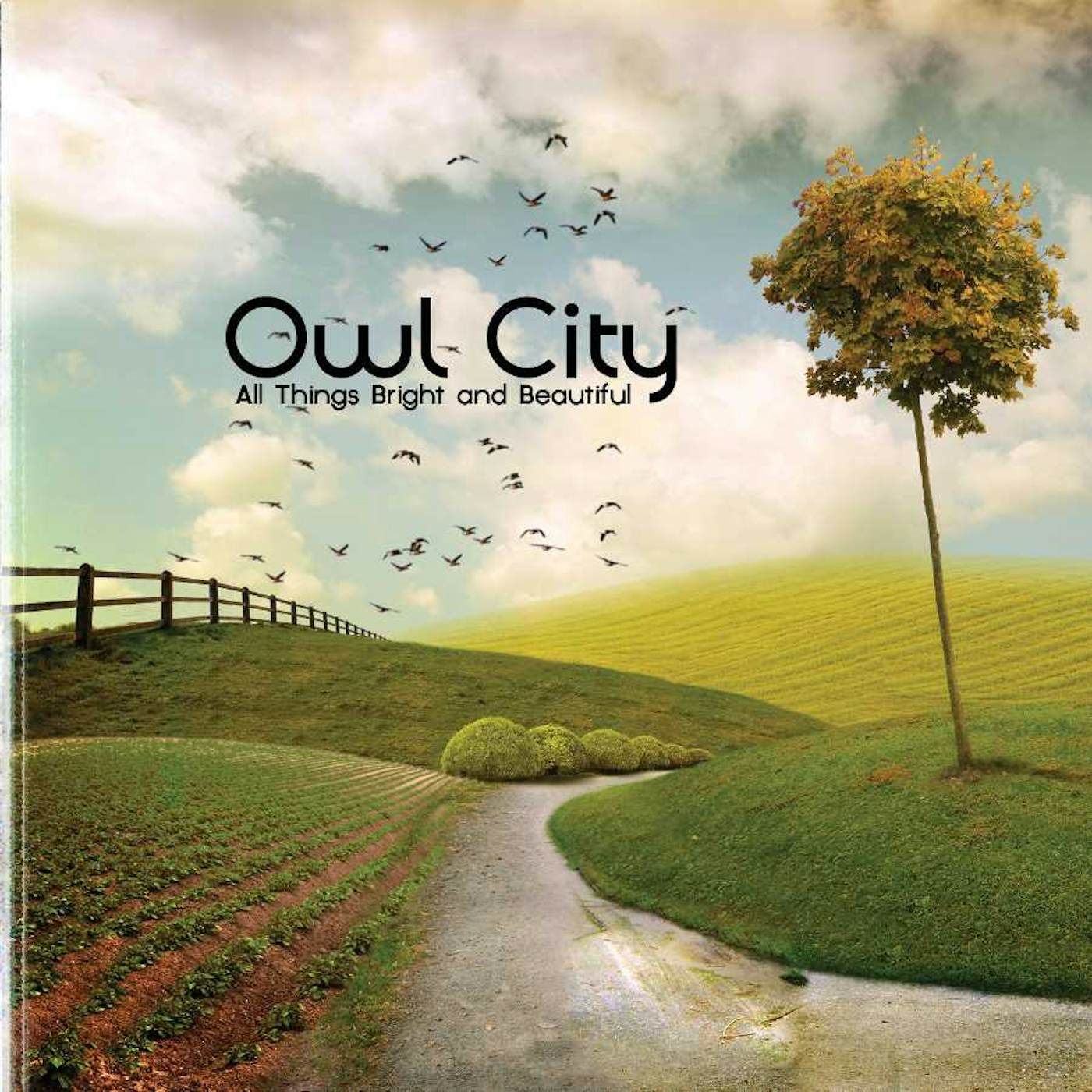Owl City All Things Bright And Beautiful (LP) Vinyl Record