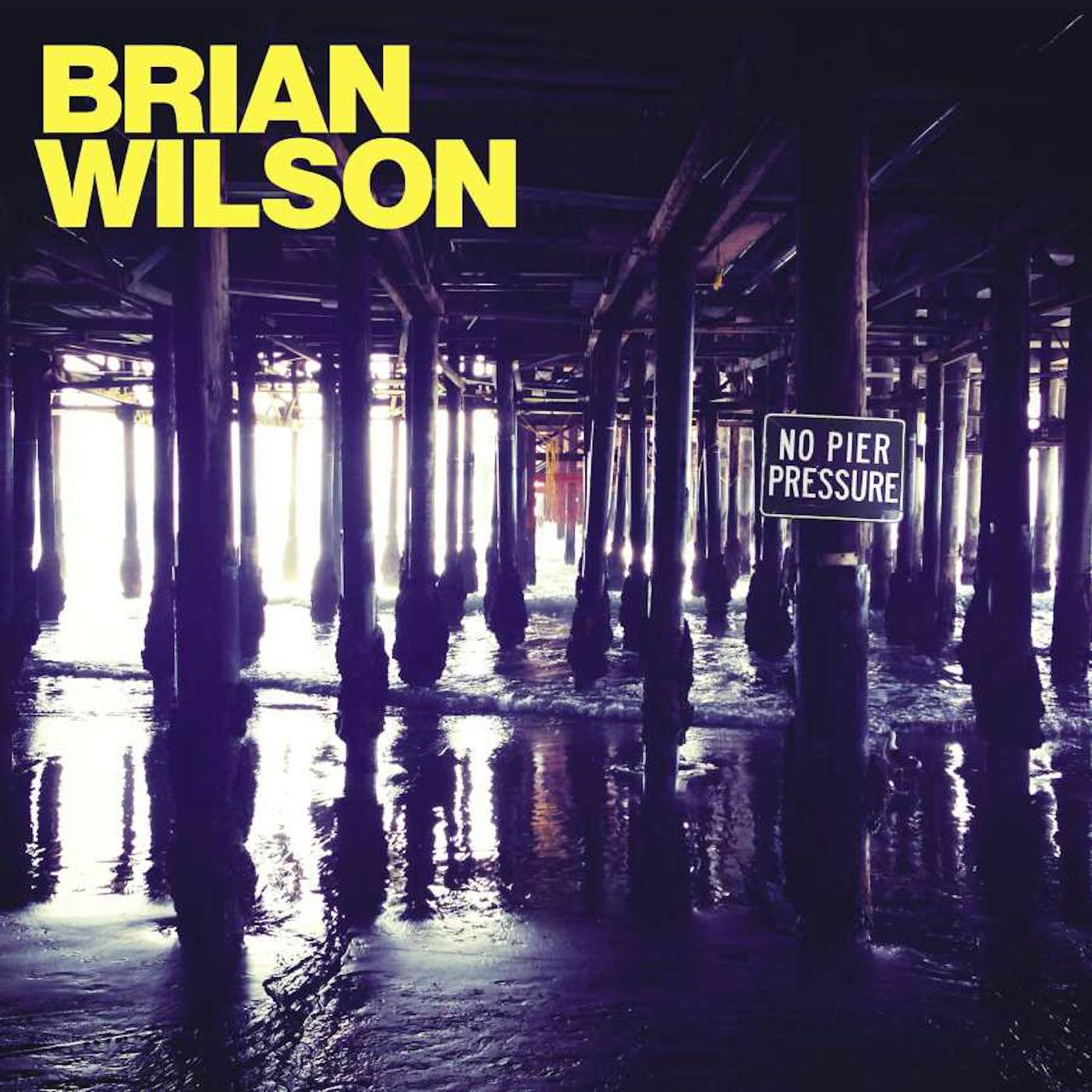 Brian Wilson No Pier Pressure Vinyl Record