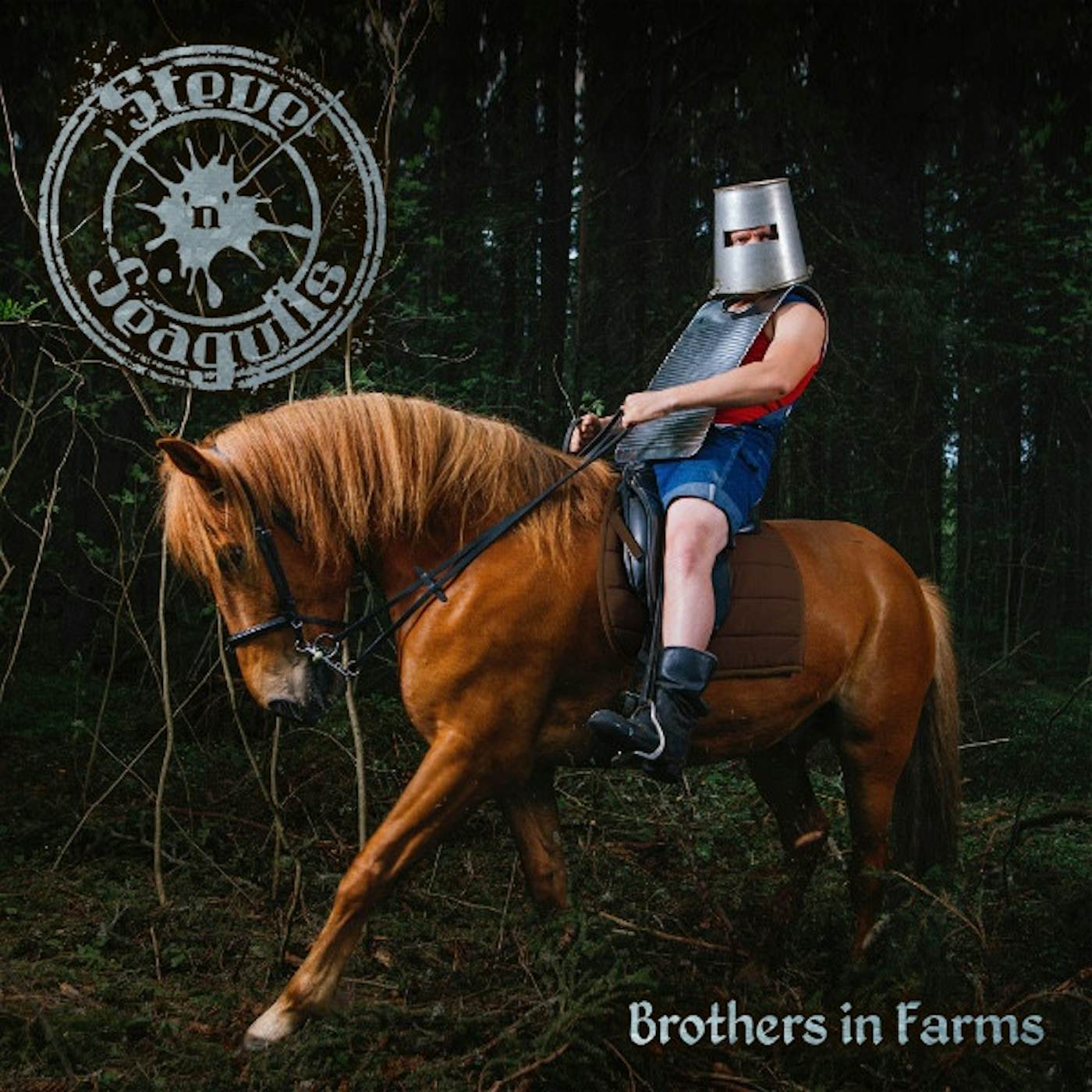 Steve ´n´ Seagulls 579156579156 Brothers In Farms Vinyl Record