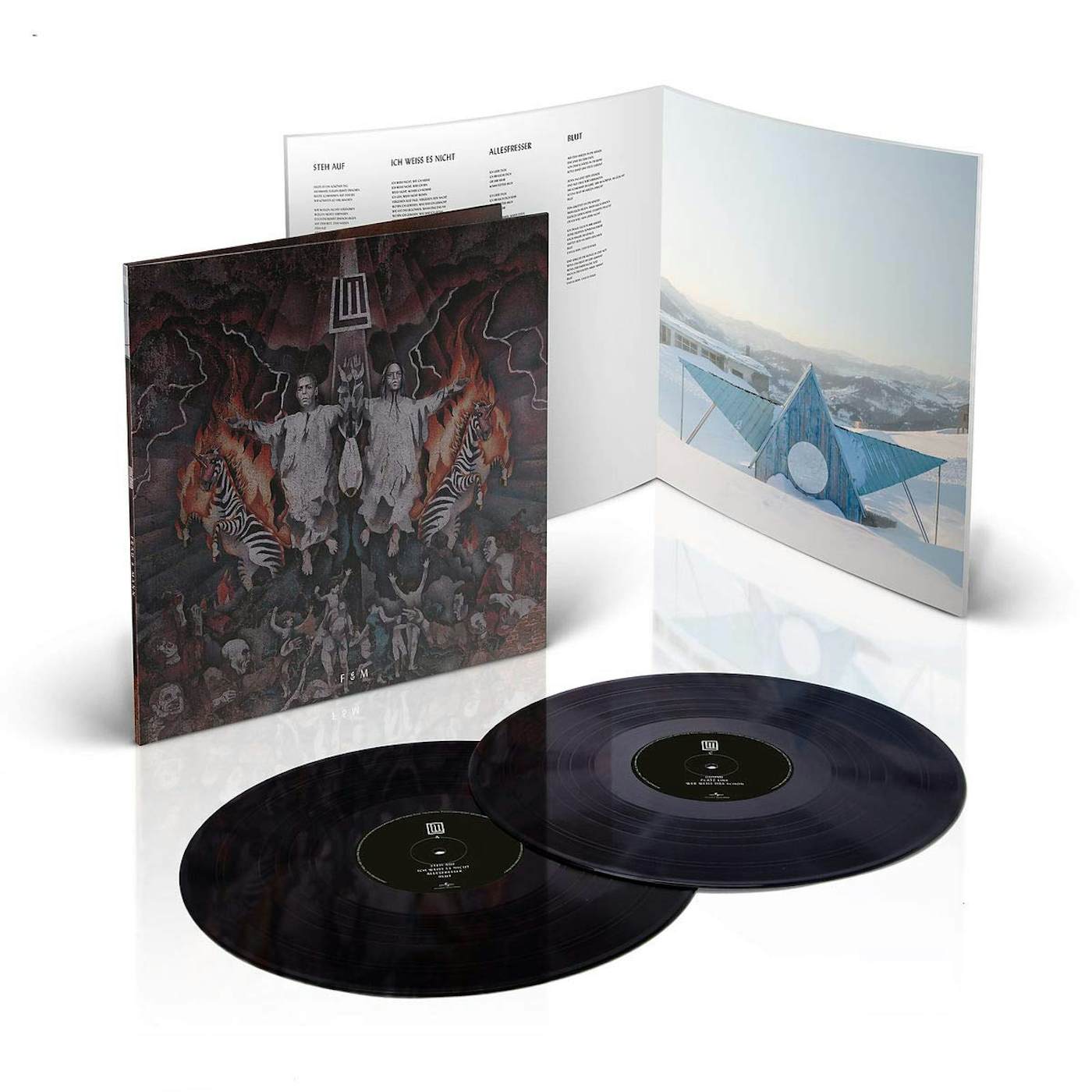 Rammstein - Reise,Reise (Vinyl) au meilleur prix sur