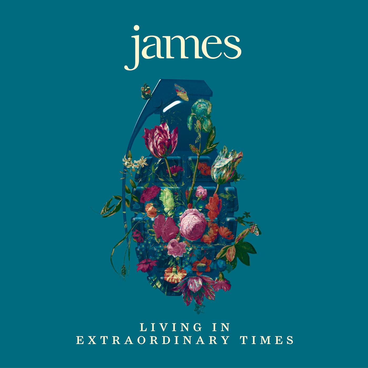 James Living in Extraordinary Times Vinyl Record