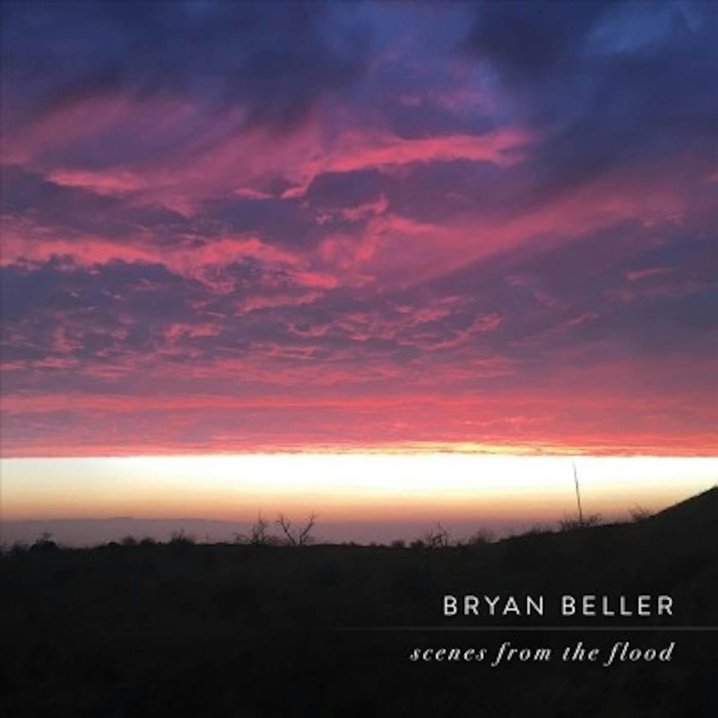 Bryan Beller SCENES FROM THE FLOOD CD