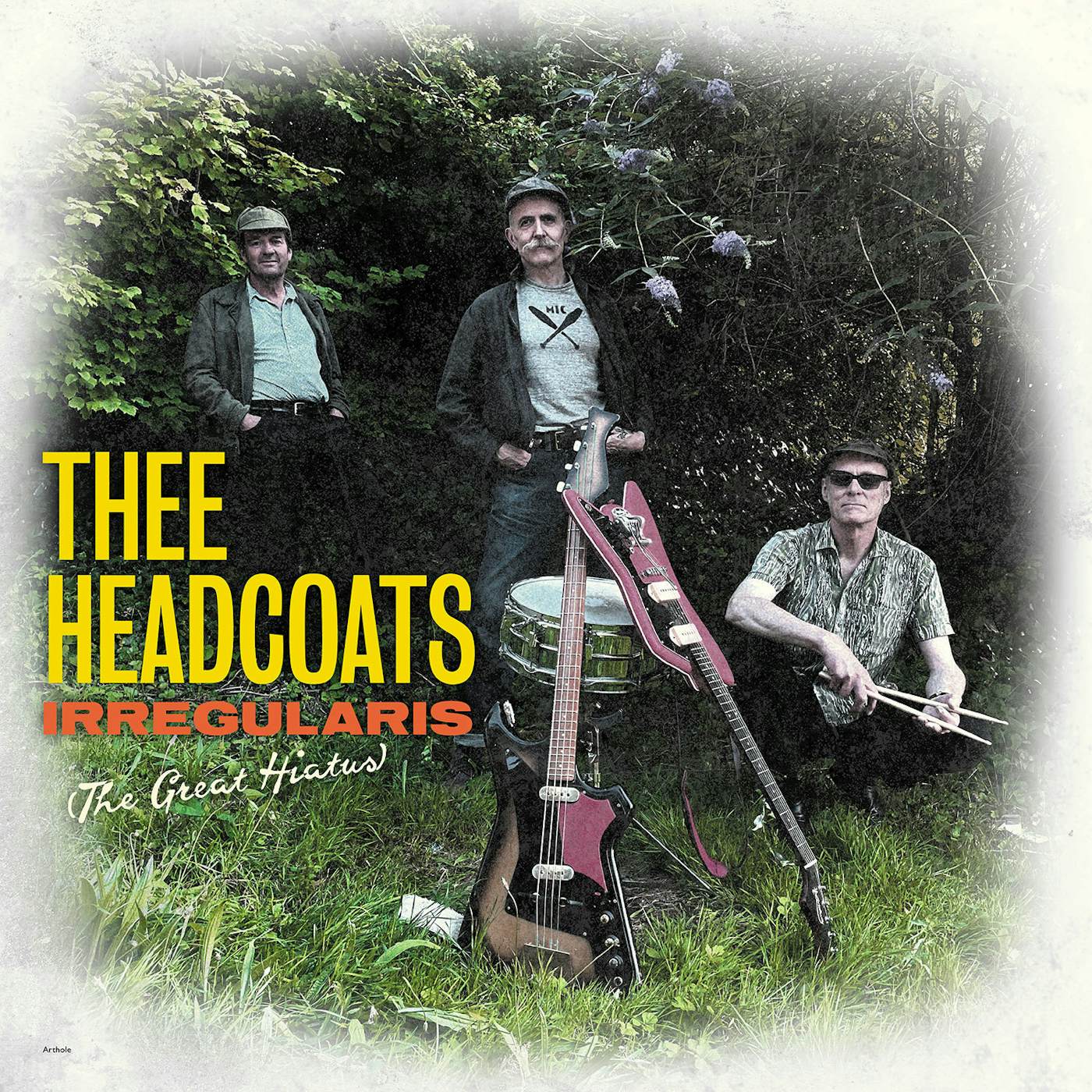 Thee Headcoats Irregularis  The Great Hiatus CD