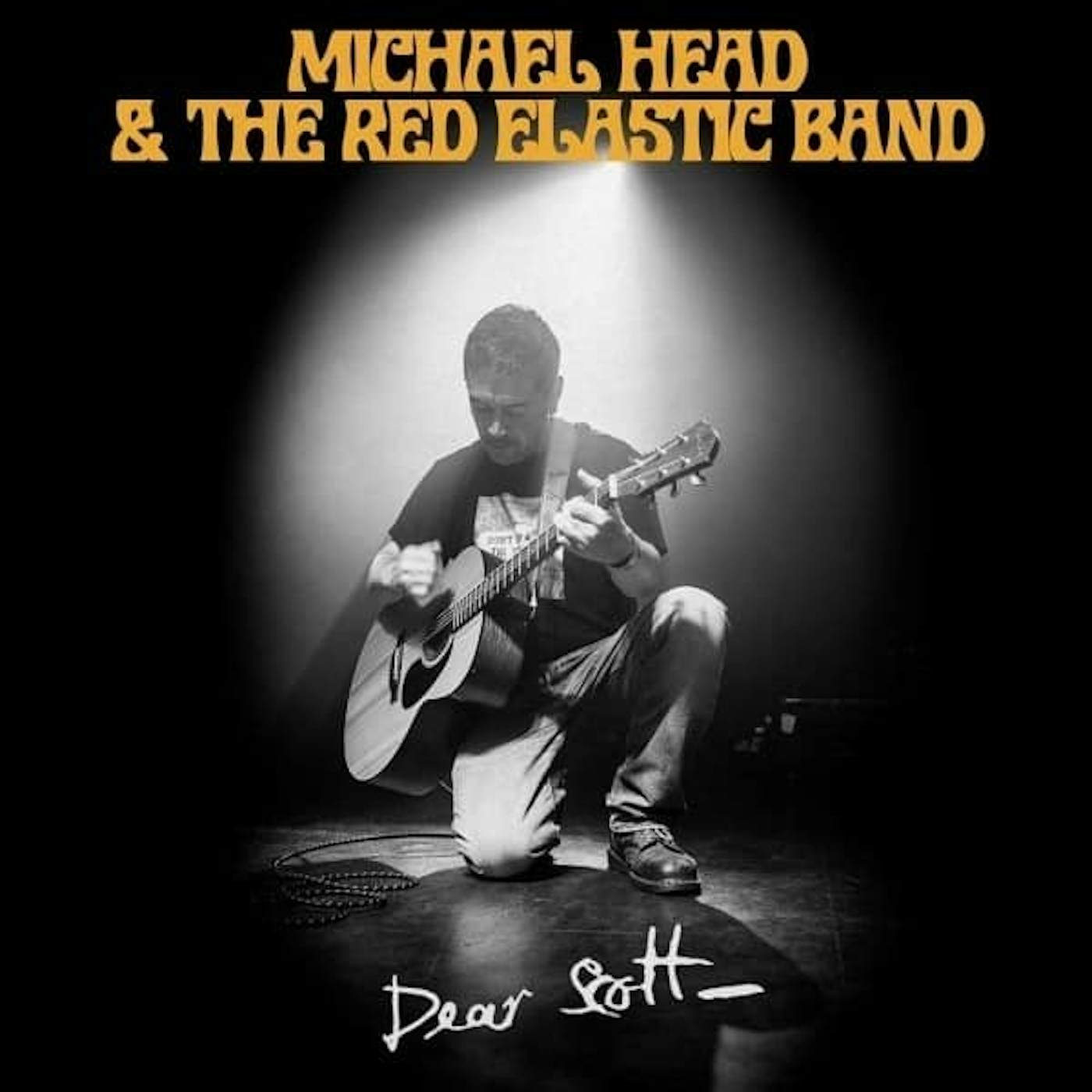 Michael Head & The Red Elastic Band   De Vinyl Record