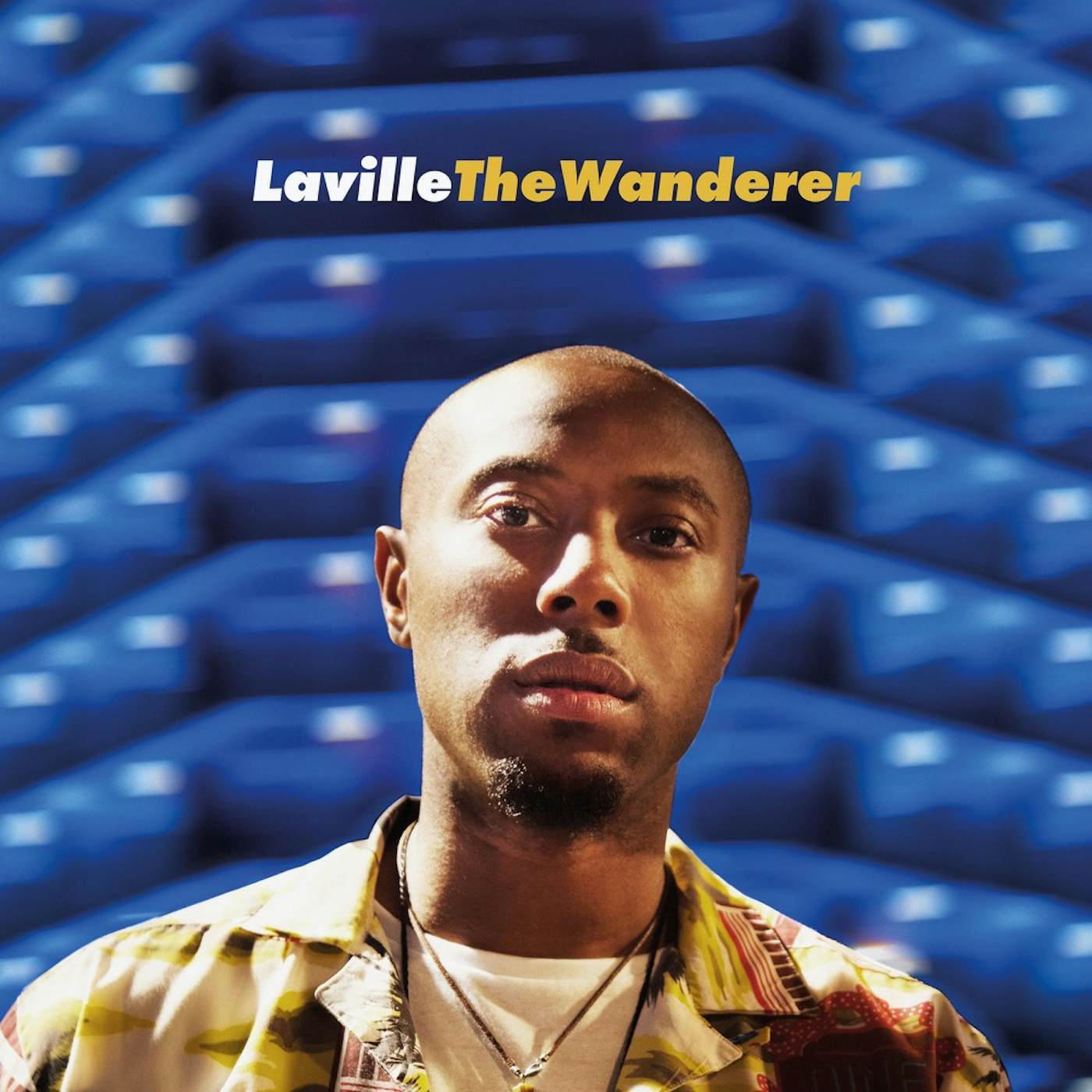 Laville Wanderer Vinyl Record