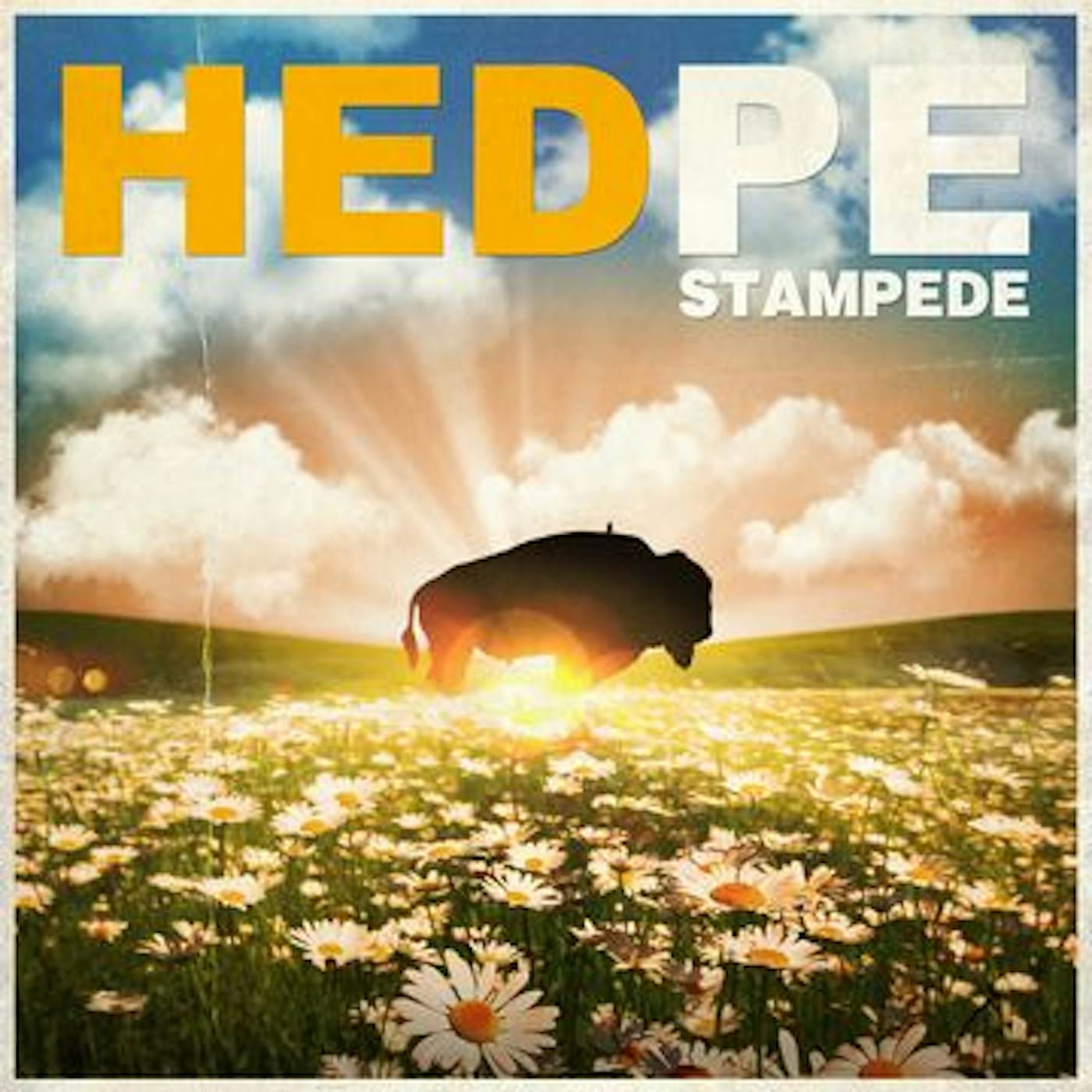 P.E. STAMPEDE CD