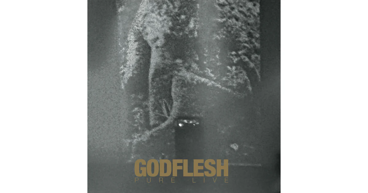 Godflesh - Pure (Vinyl LP) *industrial Metal Classic * (Gebraucht) in Godflesh - Pure (Vinyl LP) *industrial Metal Classic * (Gebraucht) in