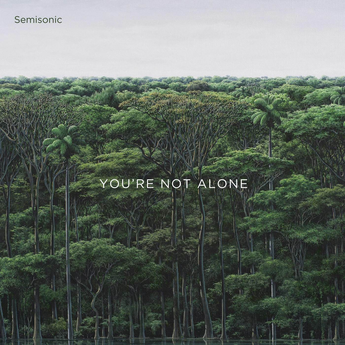 Semisonic YOU'RE NOT ALONE CD