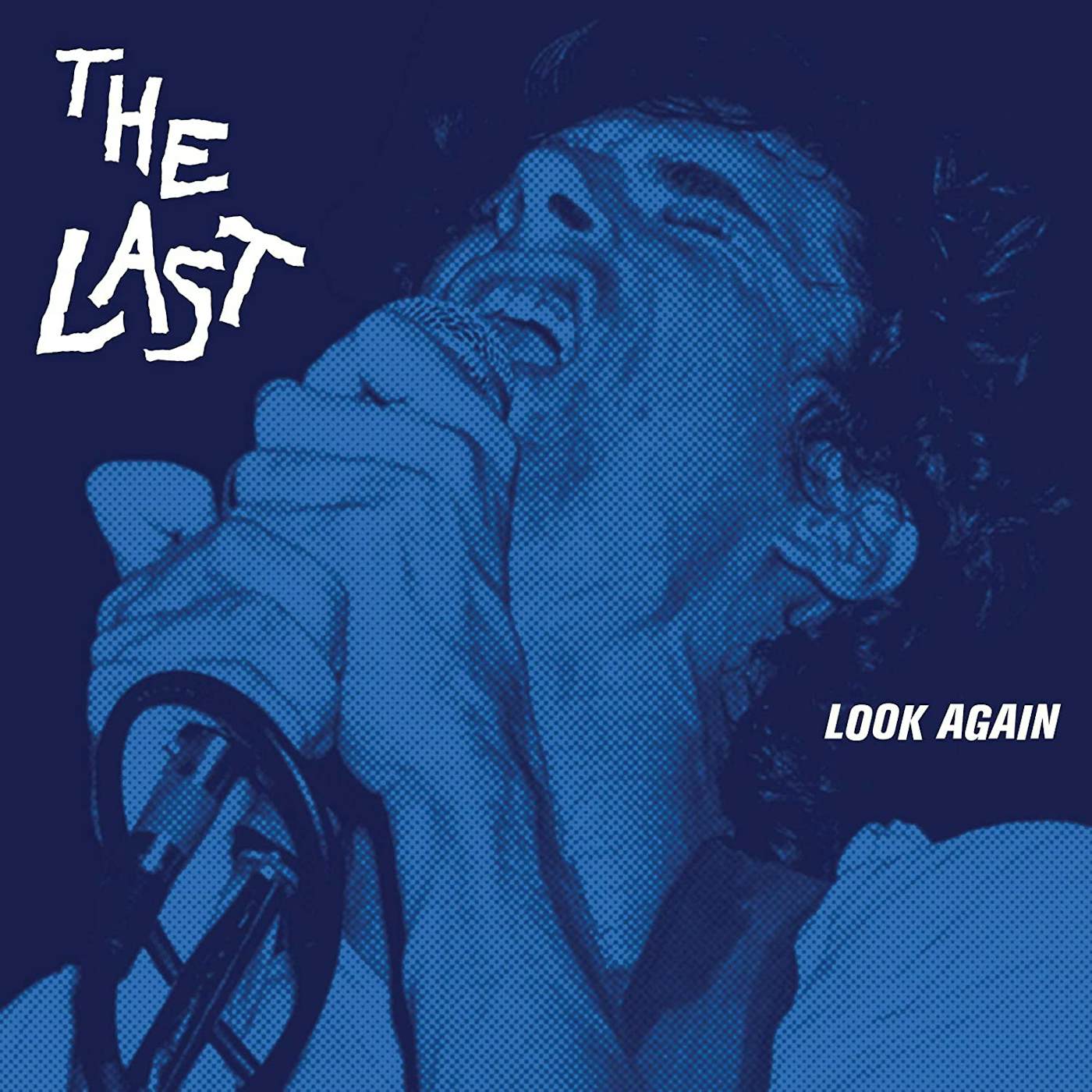 The Last Look Again Vinyl Record
