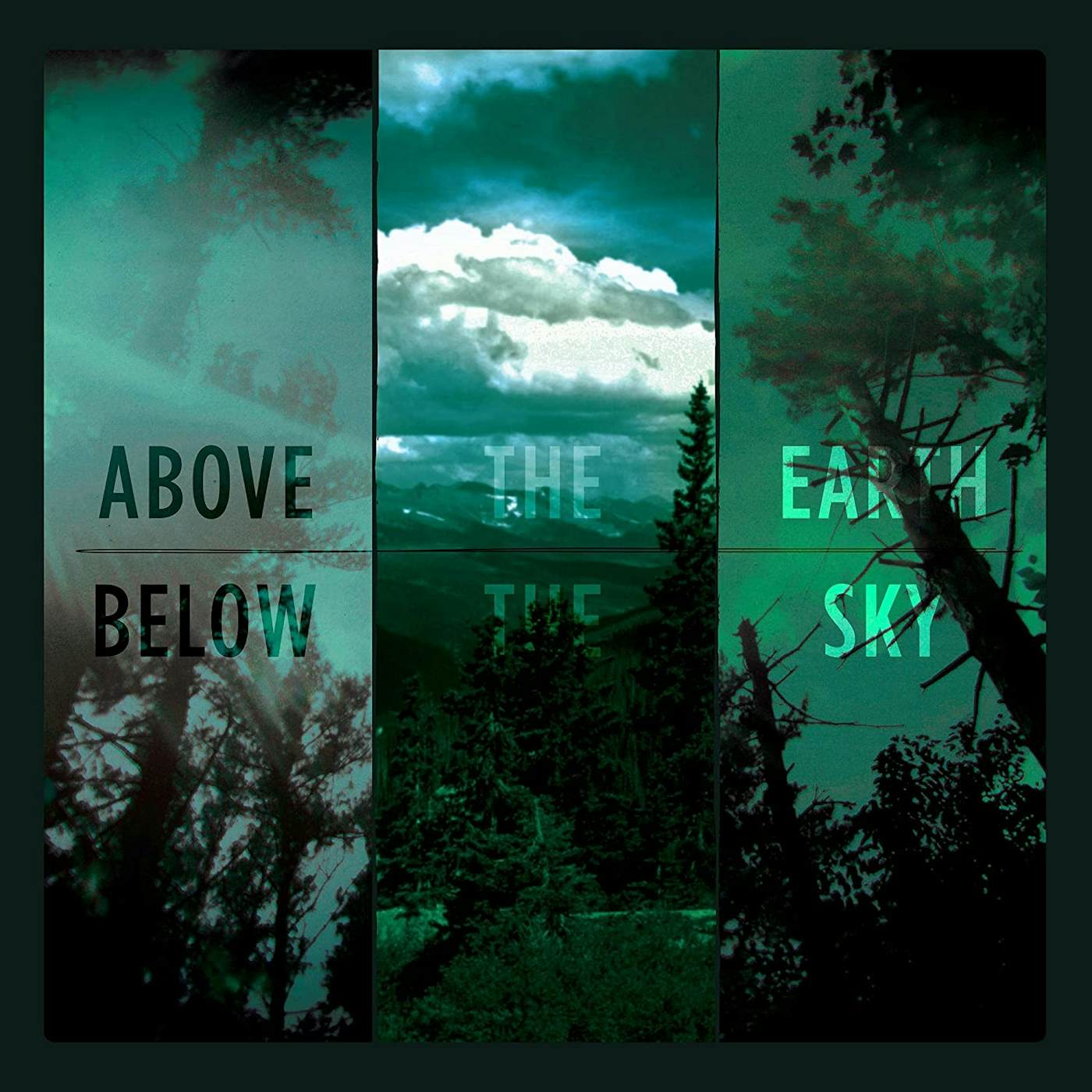 If These Trees Could Talk ABOVE THE EARTH BELOW THE SKY Vinyl Record
