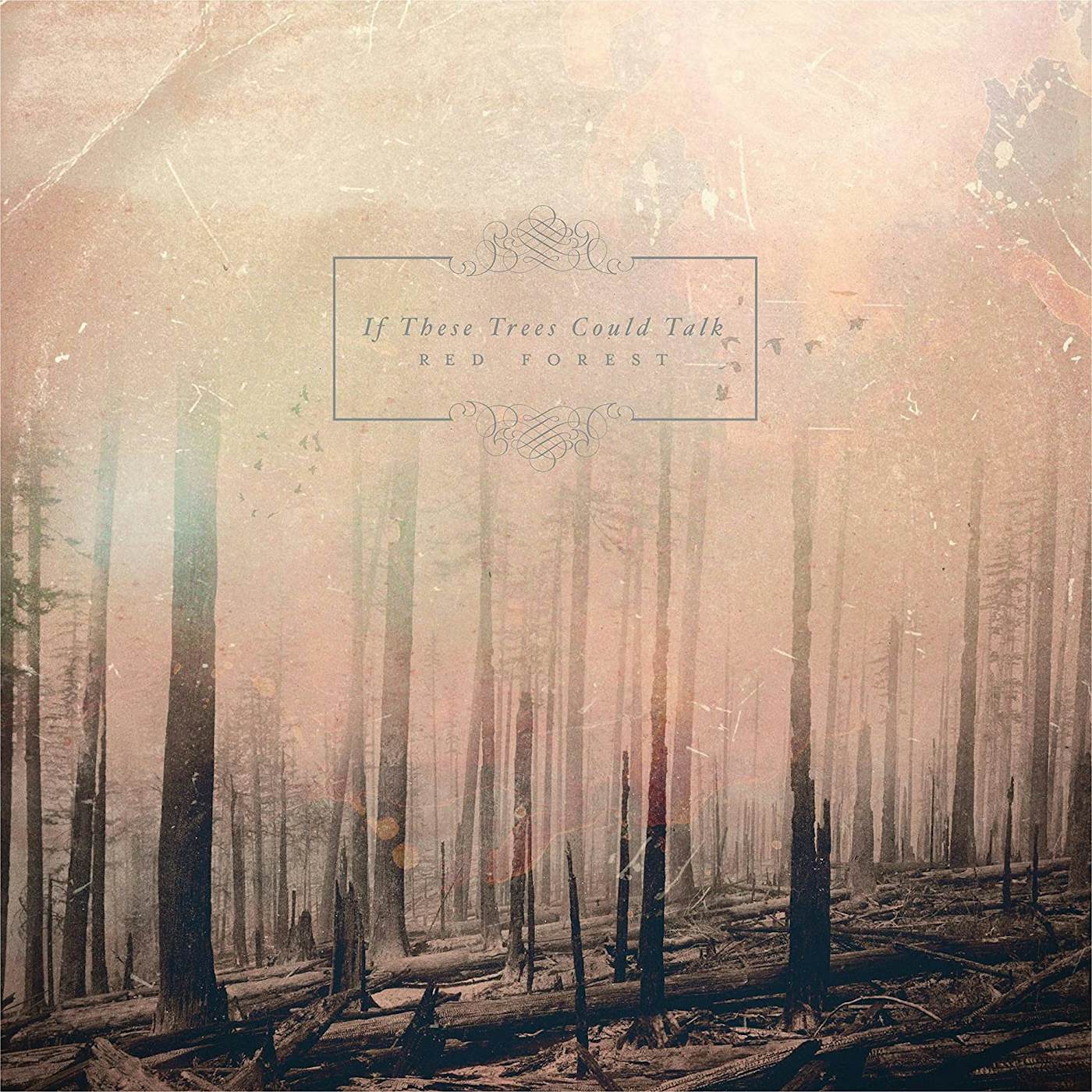 If These Trees Could Talk Red Forest Vinyl Record