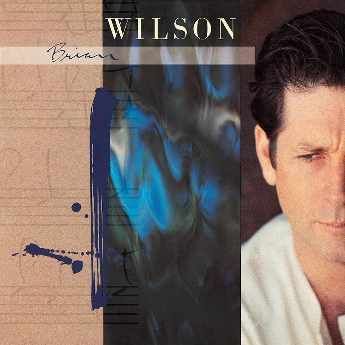 BRIAN WILSON (180G/TRANSLUCENT BLUE VINYL/LIMITED EDITION/GATEFOLD COVER) Vinyl Record