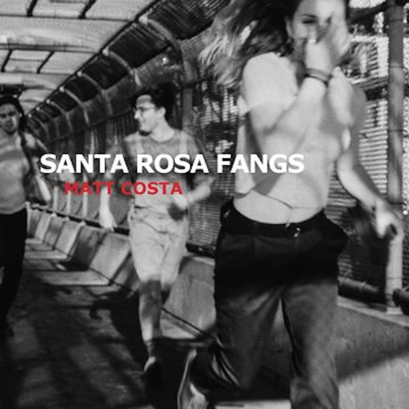 Matt Costa Santa Rosa Fangs Vinyl Record