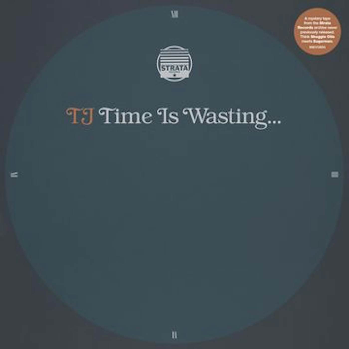 TJ Time is wasting Vinyl Record
