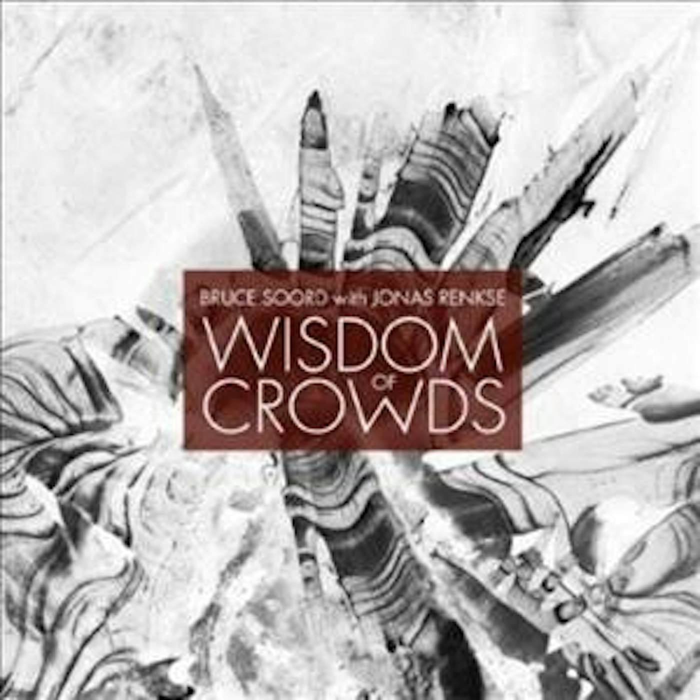 Bruce Soord Wisdom of Crowds Vinyl Record