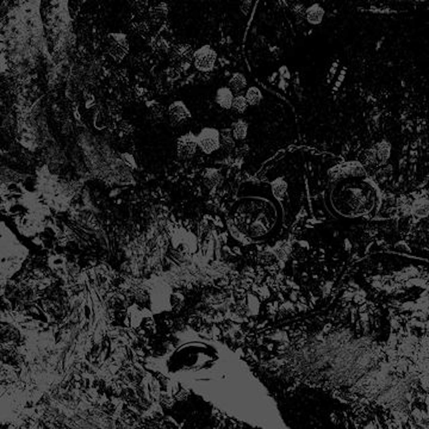 Primitive Man/Unearthly Trance Split Vinyl Record