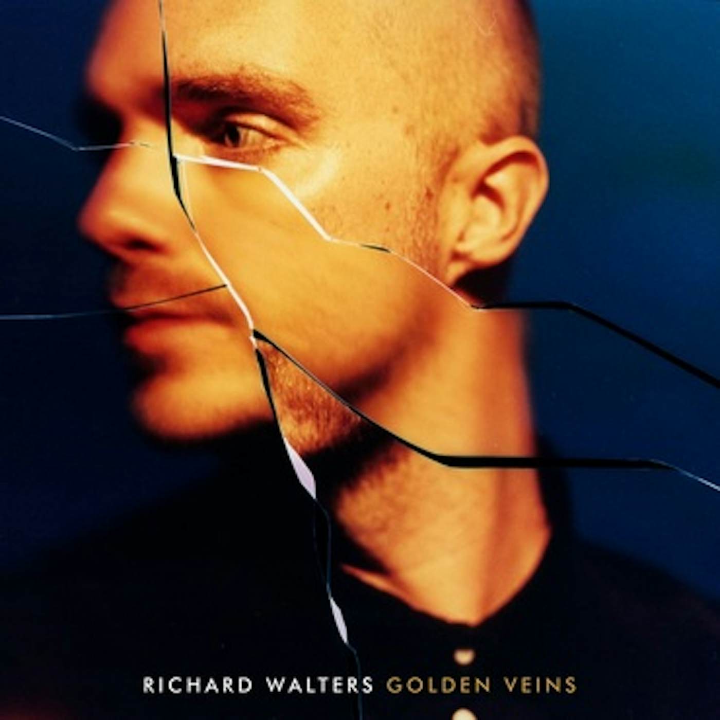 Richard Walters Golden Veins Vinyl Record