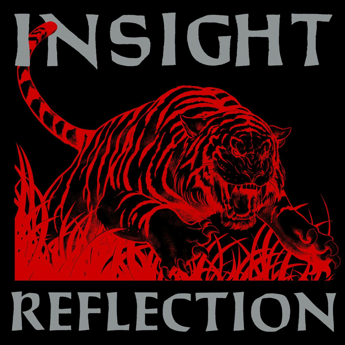 Insight Reflection Vinyl Record