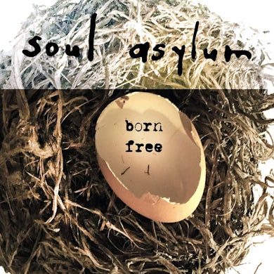 Soul Asylum BORN FREE Vinyl Record