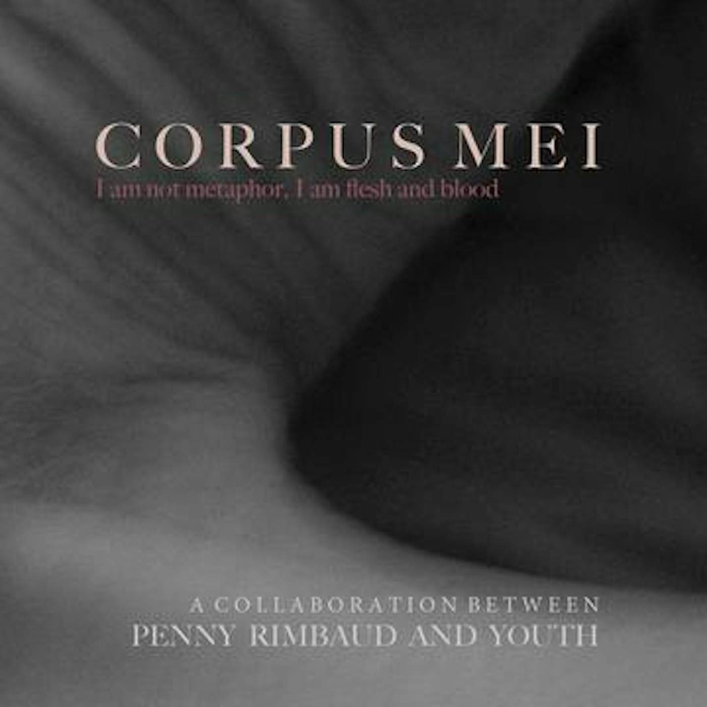 Penny Rimbaud Corpus Mei Vinyl Record